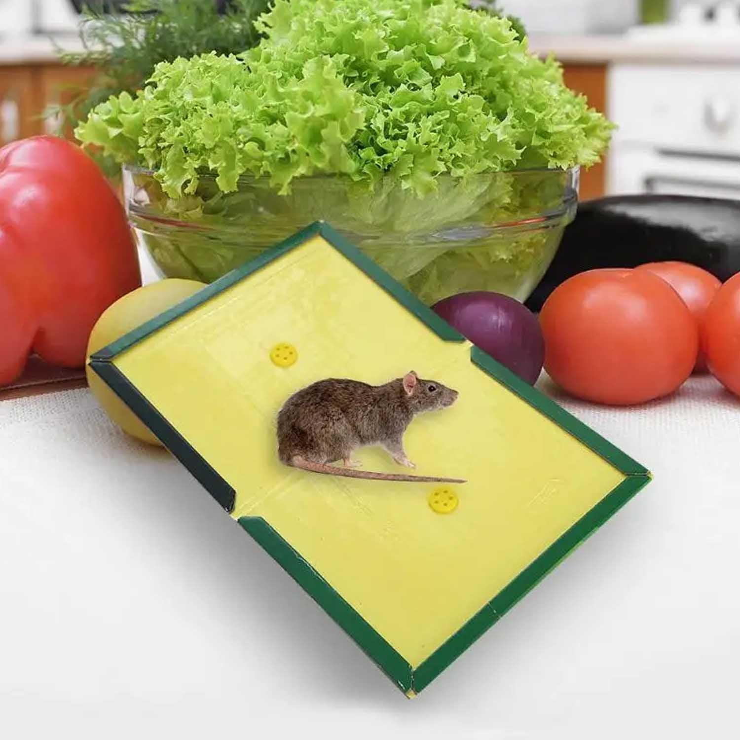 Plastic Measuring Spoons for Kitchen (6 pack) - Image 10