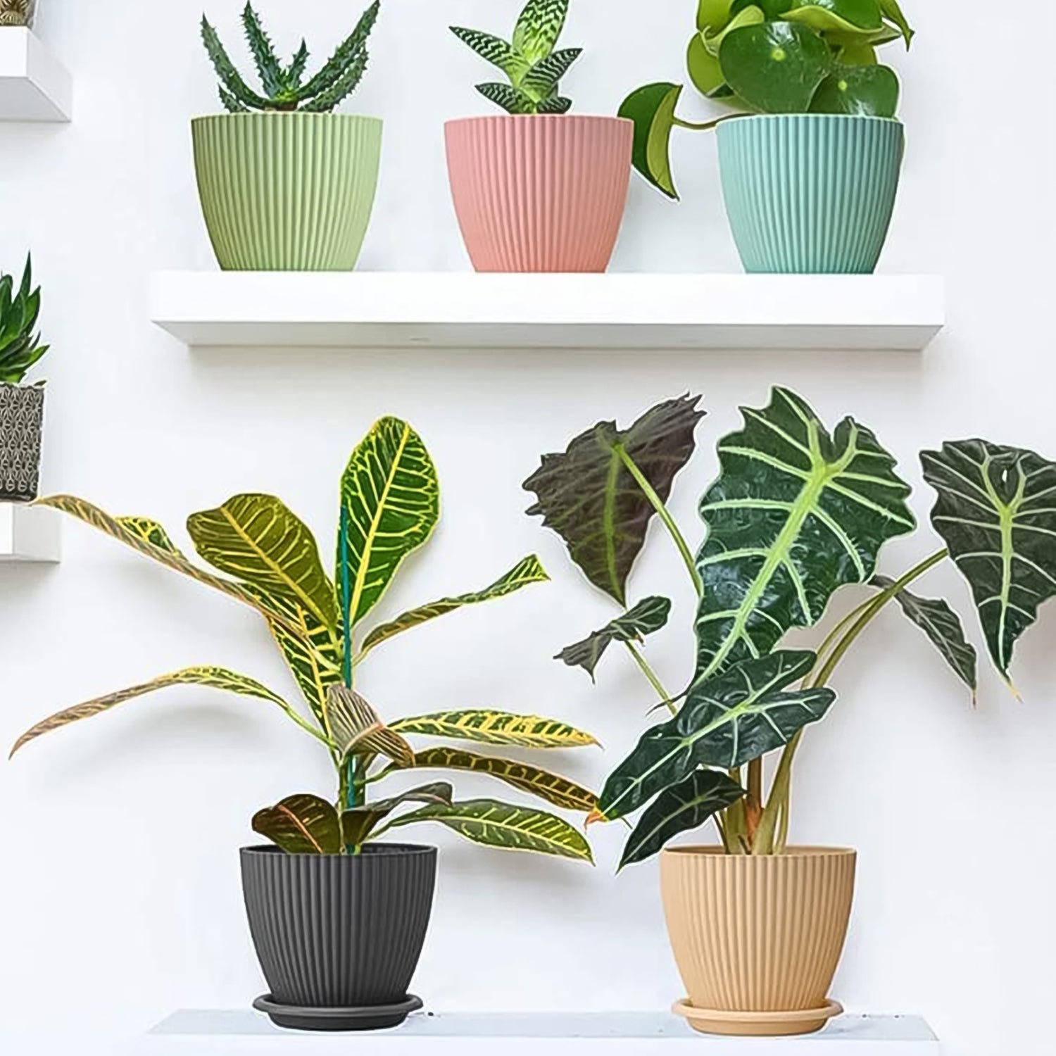 Plastic Flower Pot with Bottom Tray (5 Pcs Set) - Image 7