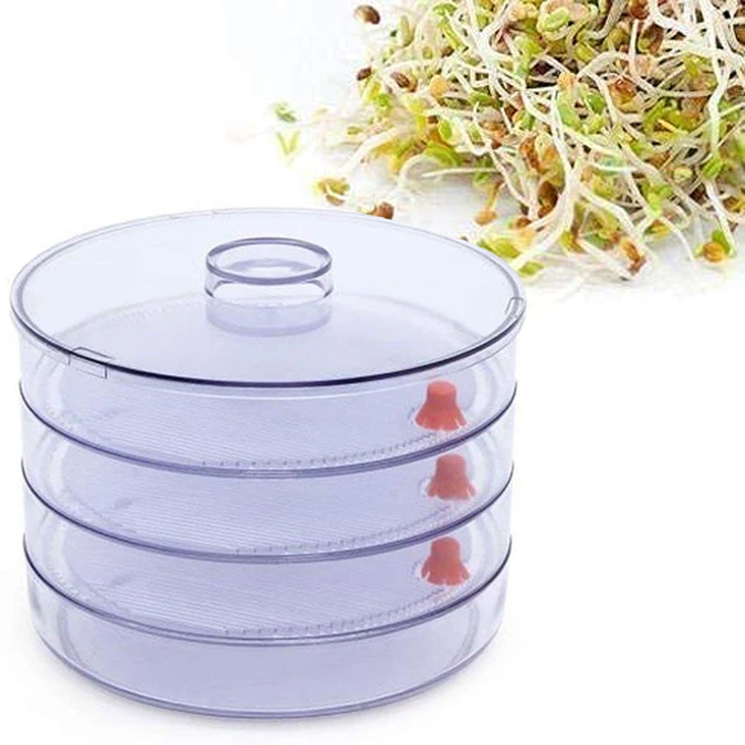 Plastic 4 Compartment Sprout Maker, White - Image 8
