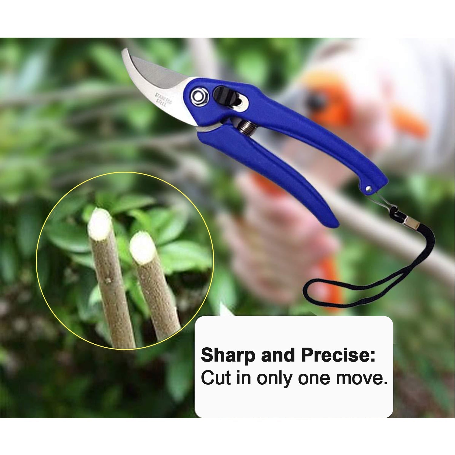 Garden Shears Pruners Scissor for Cutting Branches, Flowers, Leaves, Pruning Seeds - Image 6