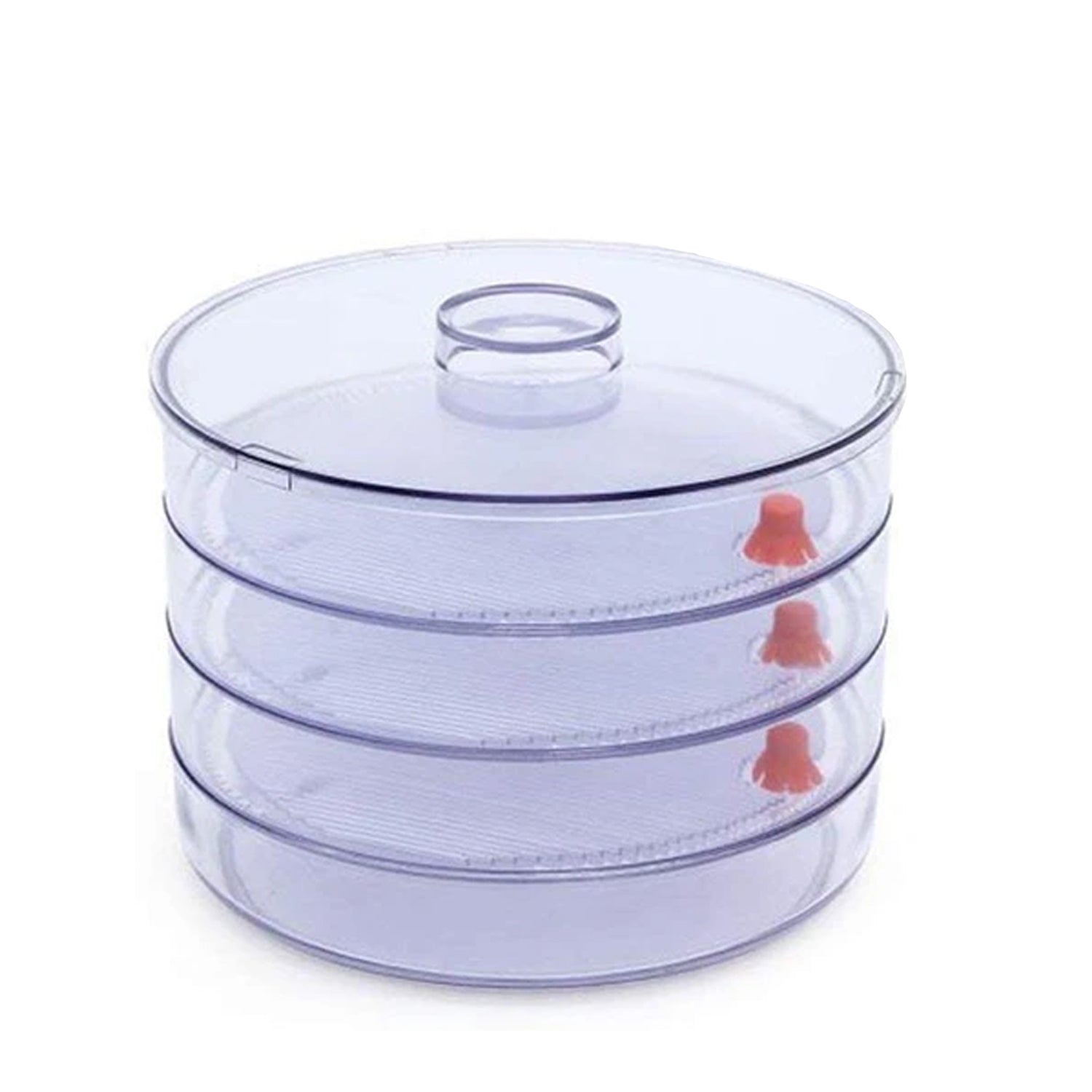 Plastic 4 Compartment Sprout Maker, White - Image 4