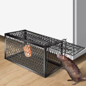 Foldable Live Mouse Trap – Easy Catch & Release Cage for Mice, Squirrels, Voles & Hamsters
