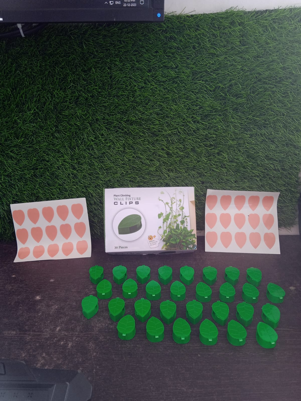 Plant Climbing Wall Fixture Clip Self-Adhesive Hook Vines Traction Invisible Stand Green Plant Clip Garden Wall Clip Plant Support Binding Clip Plants for Indoor Outdoor Decoration (30 Pcs Set) - Image 10